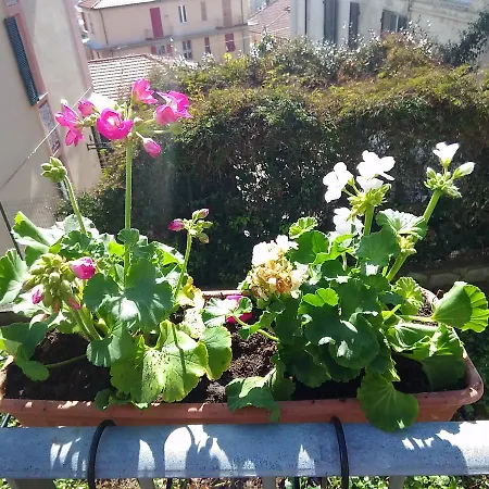 Apartman Nicoletta La Spezia