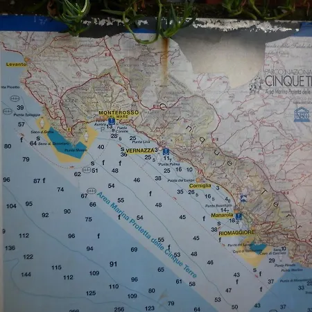Nicoletta La Spezia